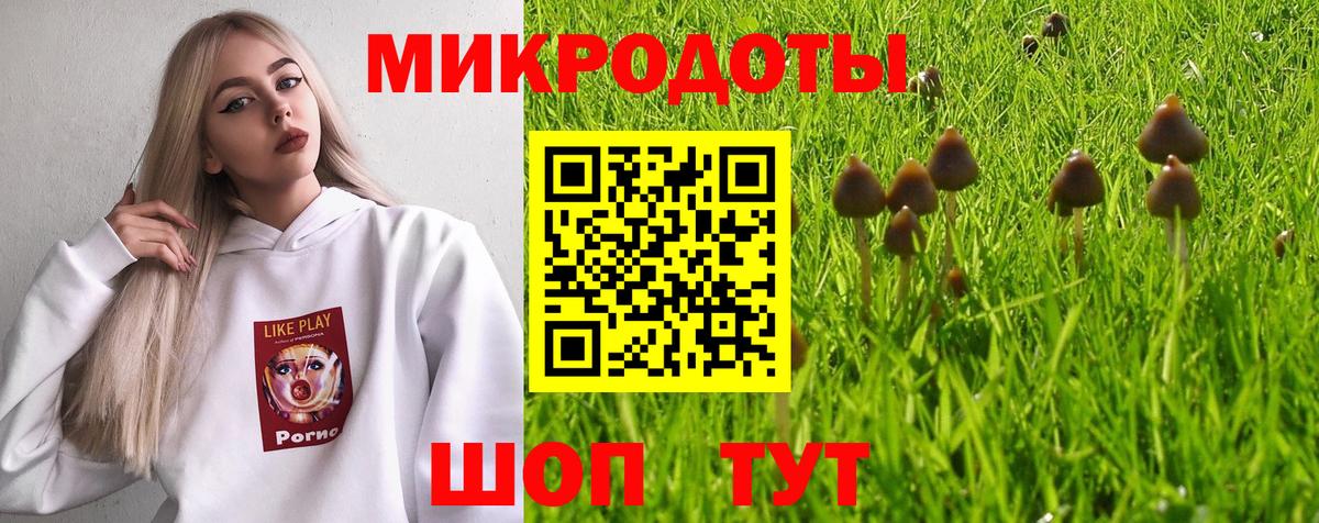 Галлюциногенные грибы Magic Shrooms Сатка